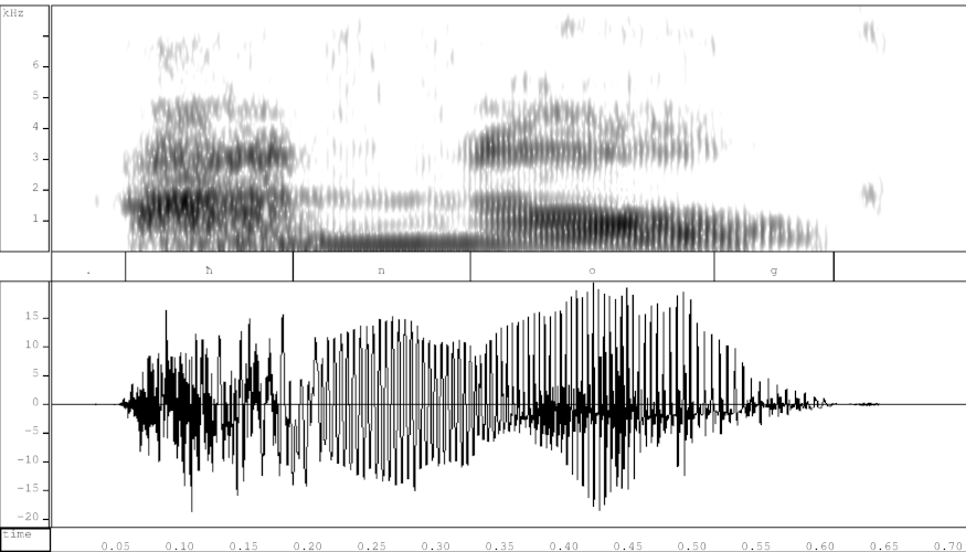 Spectrogram and waveform of *h2nog