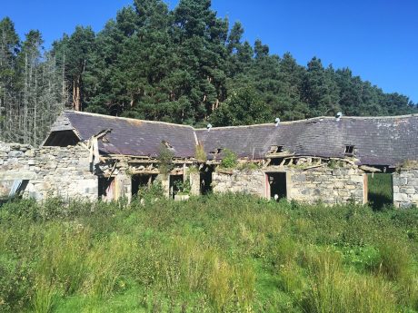 A tumble-down "steading" or farmstead building. Made of stone, and set before some trees. Knock Steading, Tomintoul and Glenlivet, Scotland.