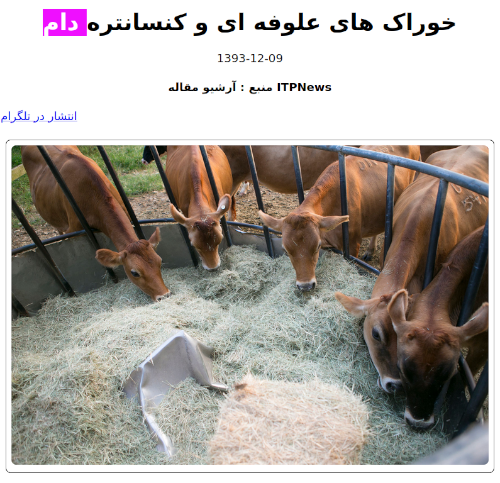 Cows feeding at a manger. From an Iranian news article about different kinds of fodder for livestock.