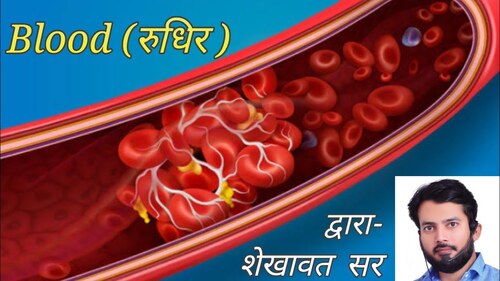 Medical illustration of red blood cells (greatly magnified) in a cutaway of a blood vessel. A heading reads "Blood" (in English), with the Hindi and Sanskrit word "rudhira", meaning blood or blood-red, in Devanagari letters. 