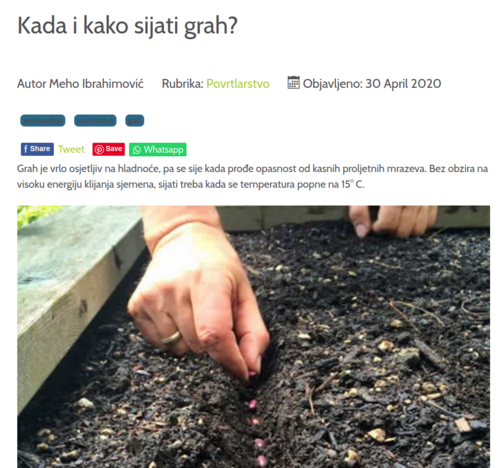 A person's hand is placing a row of small red beans into a shallow trench in the soil of a garden. The heading "Kada i kako sijati grah?" means "When and how to sow beans?" in Bosnian-Croatian-Montenegrin-Serbian.